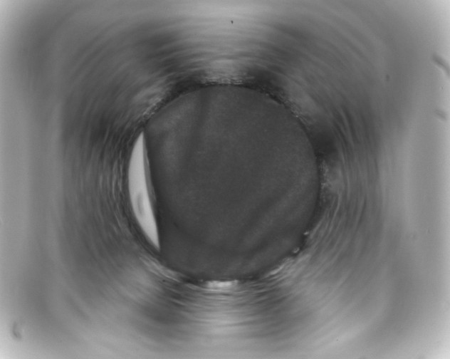 X0000098150080200805081051