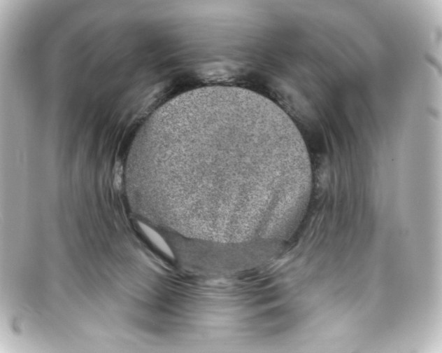 X0000098150081200805081051