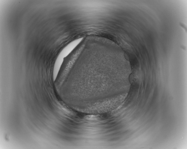 X0000098150082200805081051