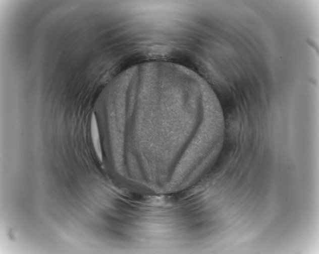 X0000098150083200805081051