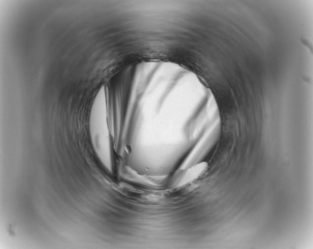 X0000098150084200805081051