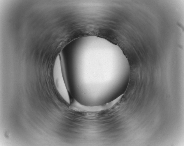 X0000098150088200805081051