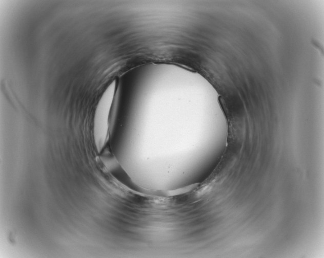 X0000098150092200805081051