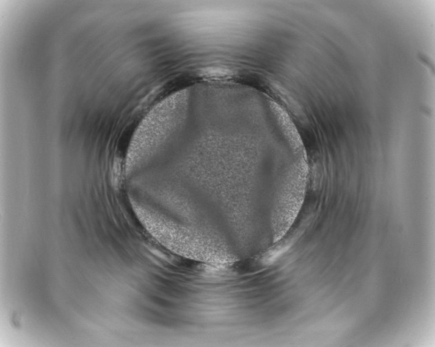 X0000098150093200805081051