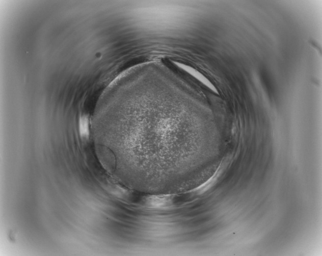 X0000098150094200805081051