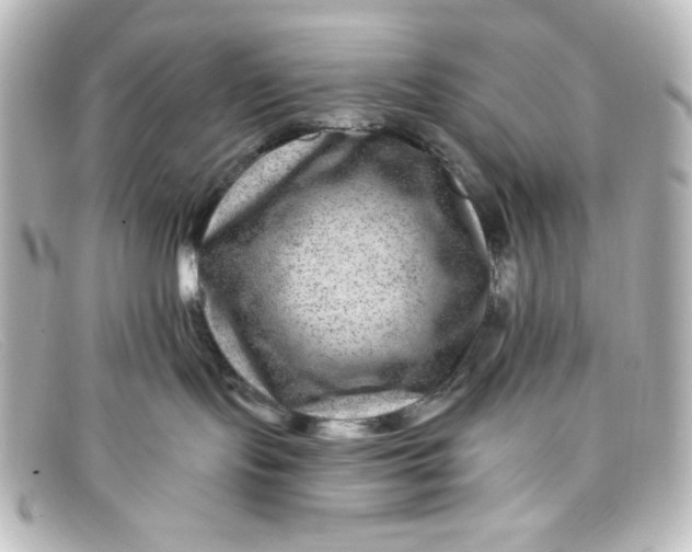 X0000098150095200805081051