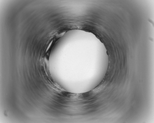 X0000098150096200805081051