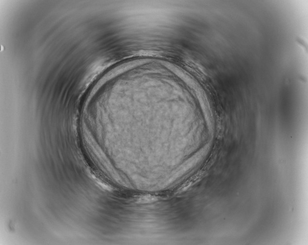 X0000098150098200805081051