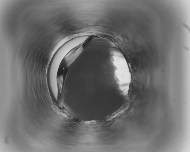X0000098150100200805081050