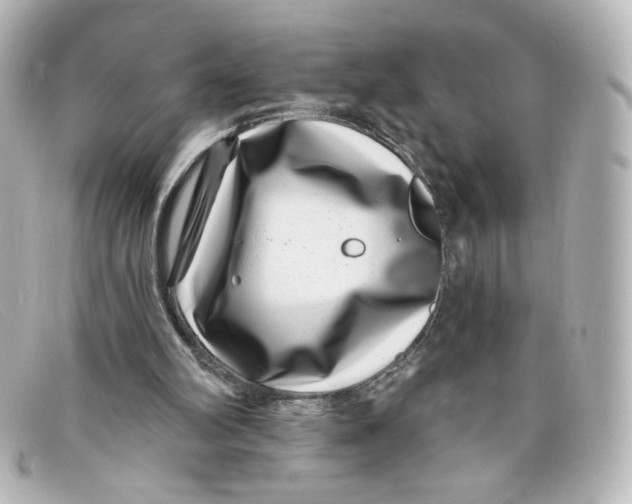 X0000098150102200805081050