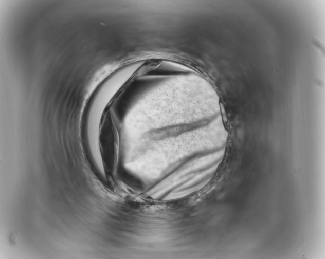 X0000098150104200805081050