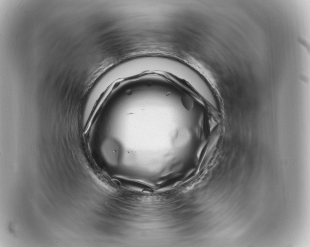 X0000098150105200805081050