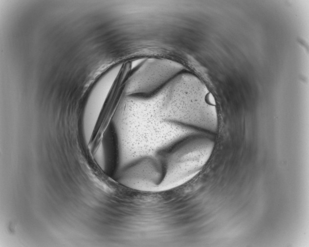 X0000098150106200805081050