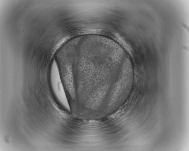 X0000098150107200805081050