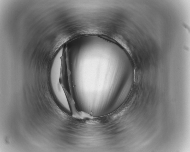 X0000098150109200805081050
