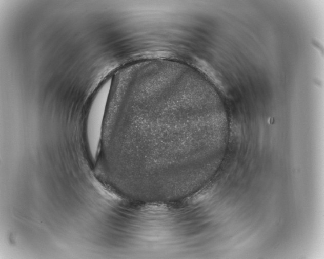 X0000098150110200805081050
