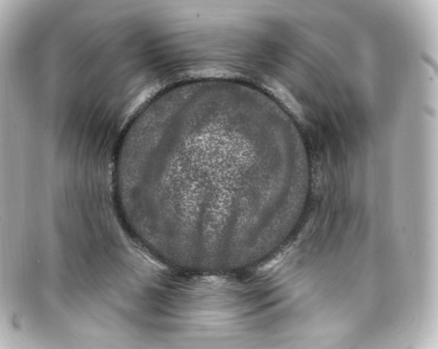 X0000098150111200805081050