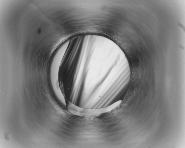 X0000098150112200805081050