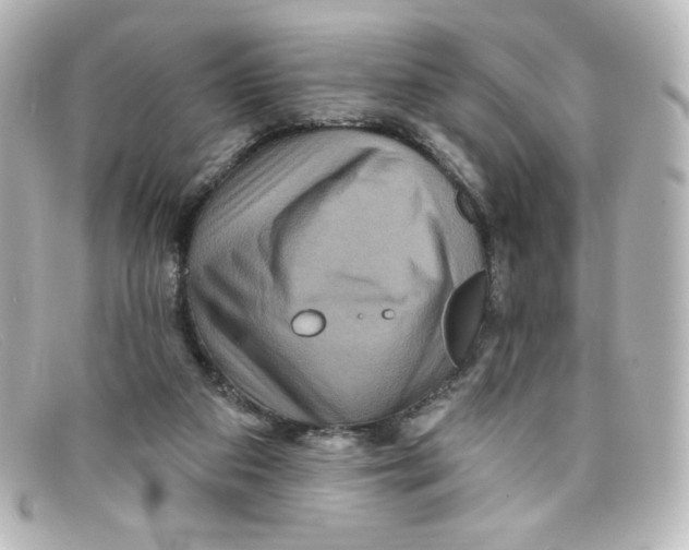 X0000098150113200805081050