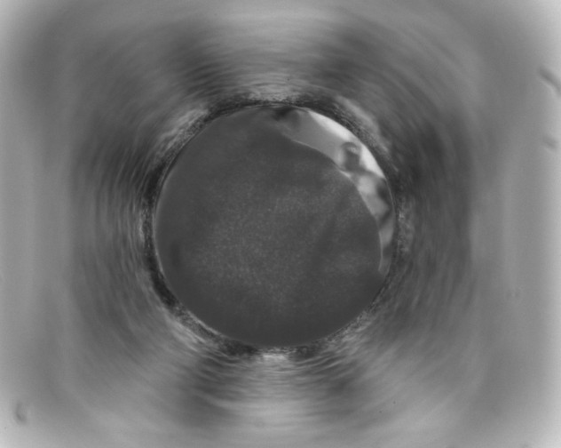 X0000098150114200805081050
