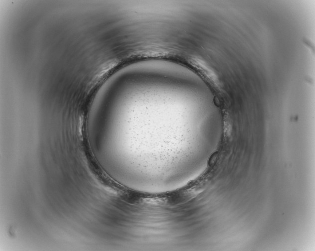 X0000098150115200805081050