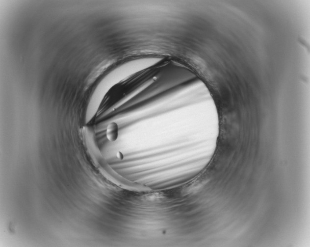 X0000098150116200805081050
