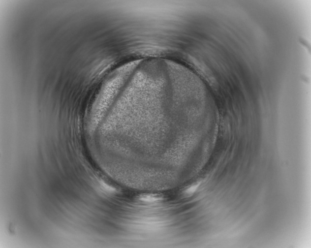X0000098150117200805081050