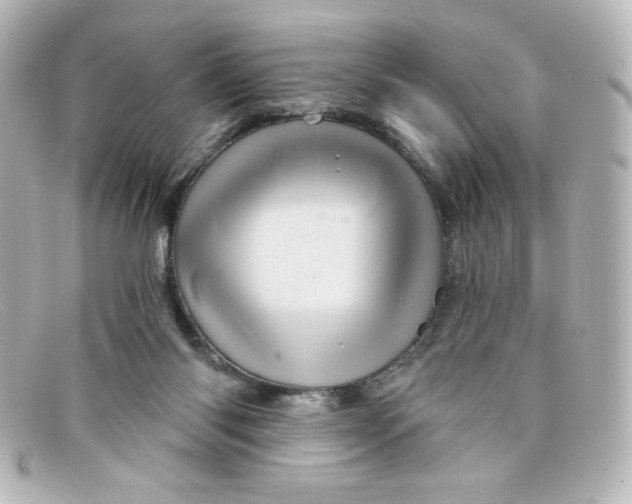 X0000098150118200805081050