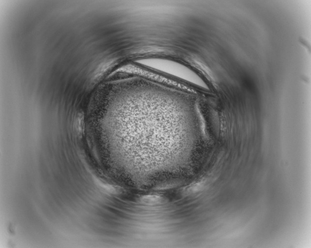 X0000098150119200805081050