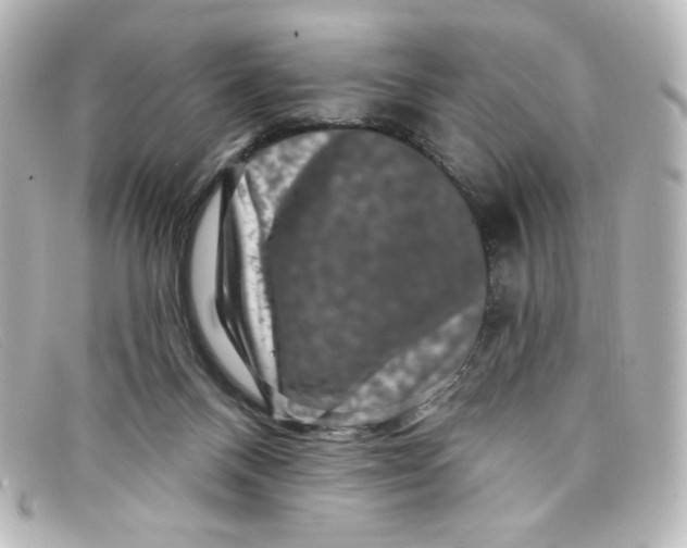 X0000098150120200805081050