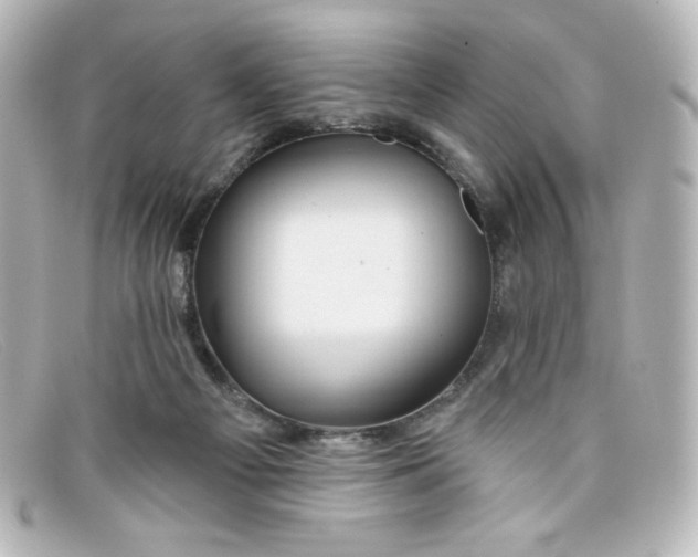 X0000098150121200805081050