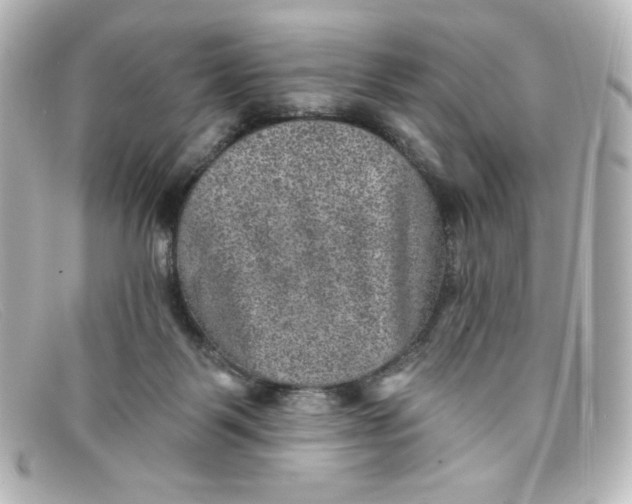 X0000098150123200805081050