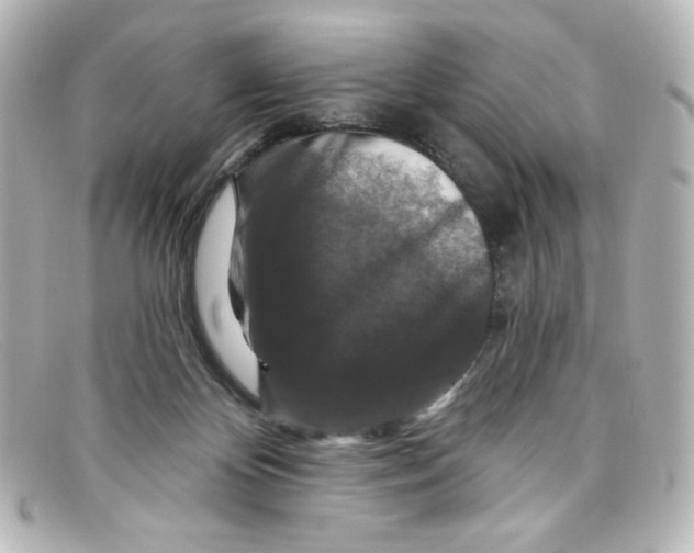 X0000098150124200805081050