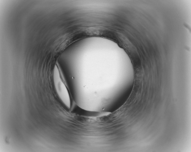 X0000098150125200805081050