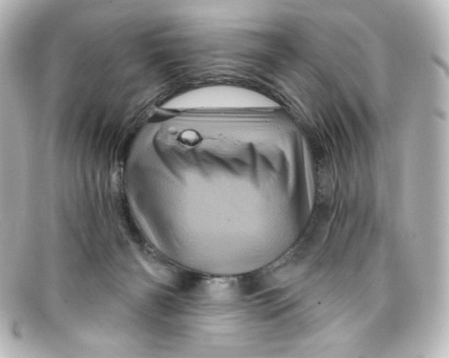 X0000098150126200805081050