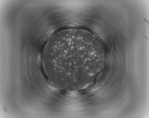 X0000098150127200805081050
