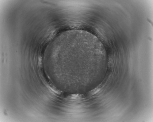 X0000098150130200805081050