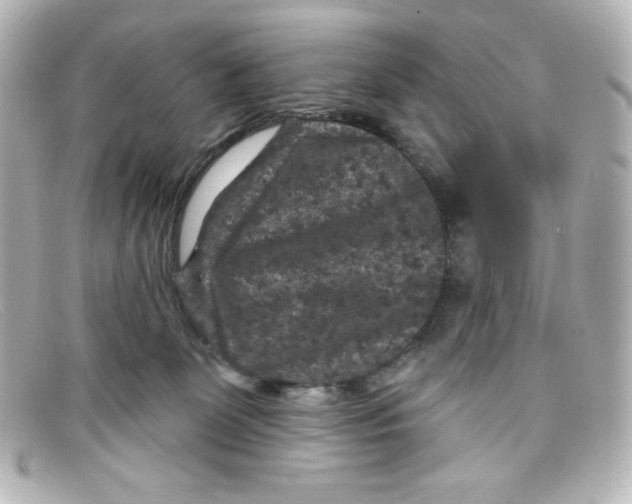 X0000098150131200805081050