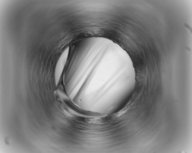 X0000098150132200805081050