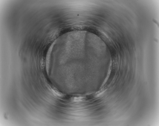 X0000098150134200805081050