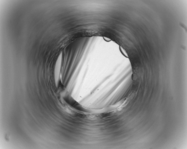 X0000098150136200805081050