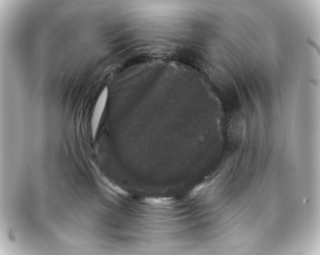 X0000098150137200805081050