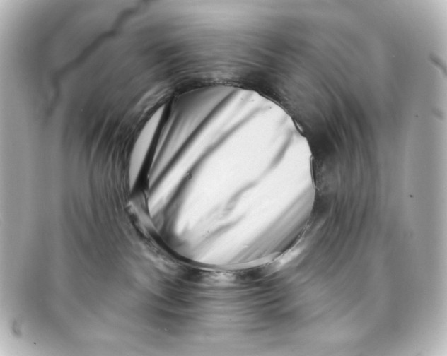 X0000098150140200805081050