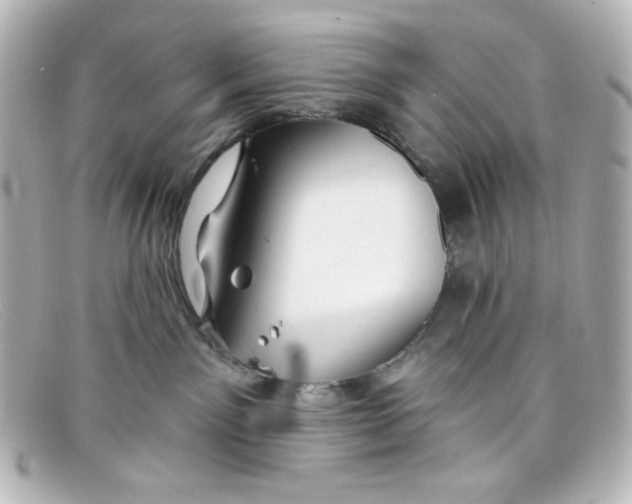 X0000098150141200805081050
