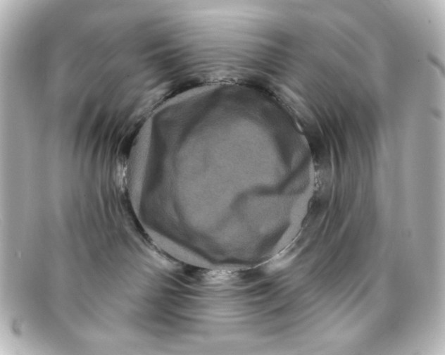 X0000098150142200805081050