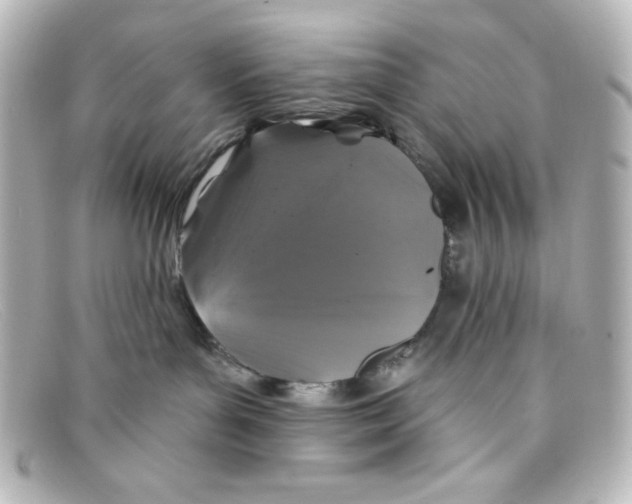 X0000098150143200805081050