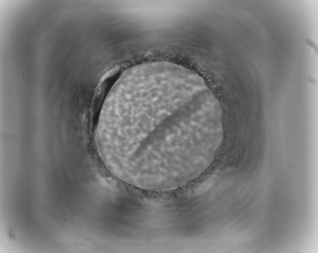 X0000098150144200805081050