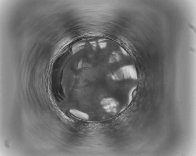 X0000098150145200805081049