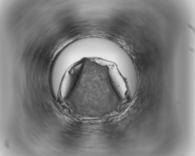 X0000098150146200805081049