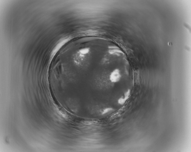 X0000098150147200805081049